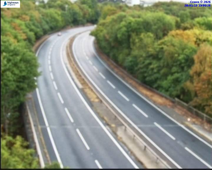 51443-1787169695.jpg