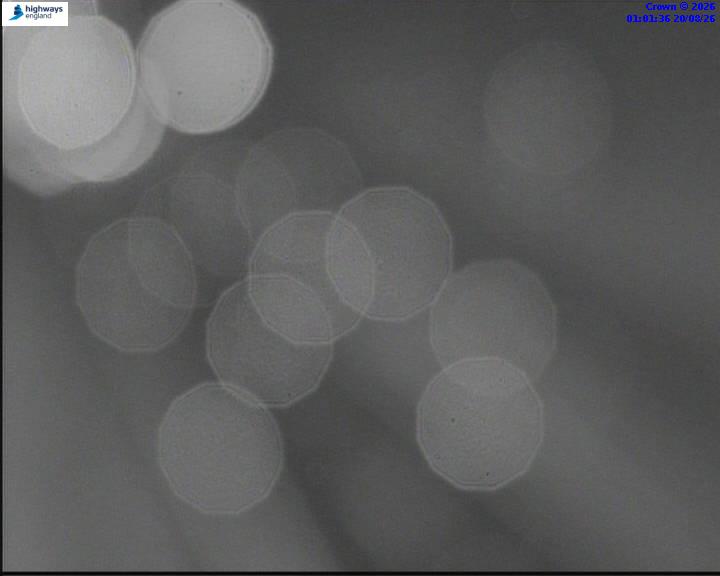 51977-1787187702.jpg