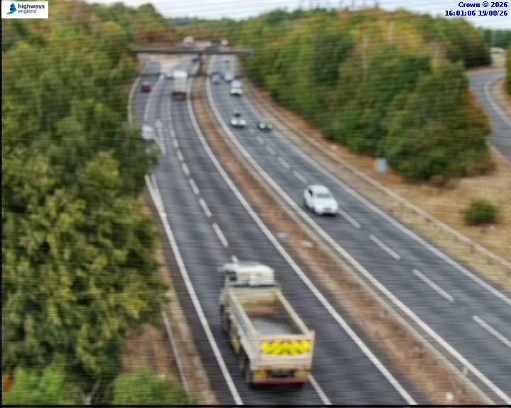 51830-1787155287.jpg
