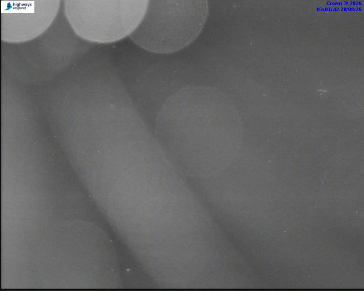 51822-1787194925.jpg