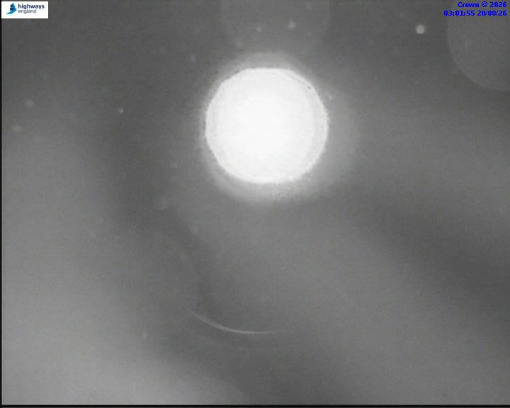 51806-1787194925.jpg