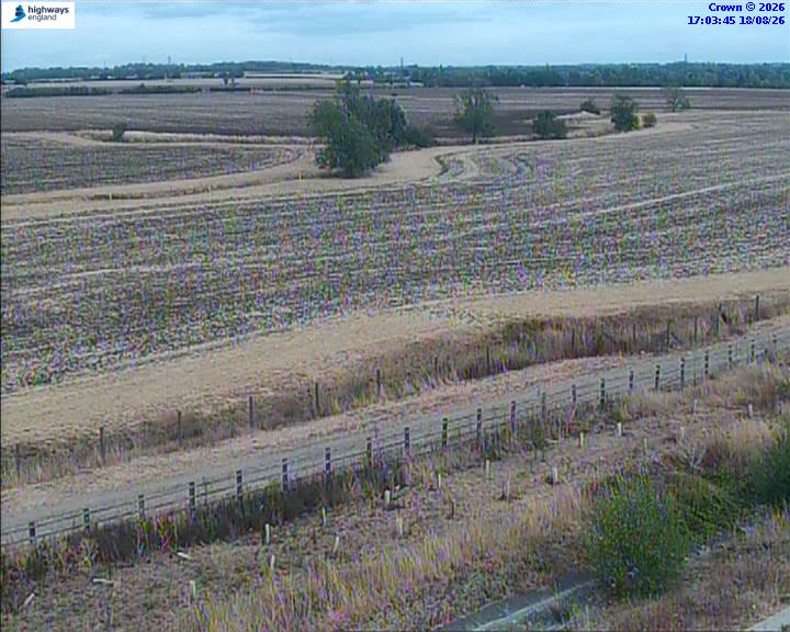 Click for full screen live camera. A1 52043 A1(M)-A14