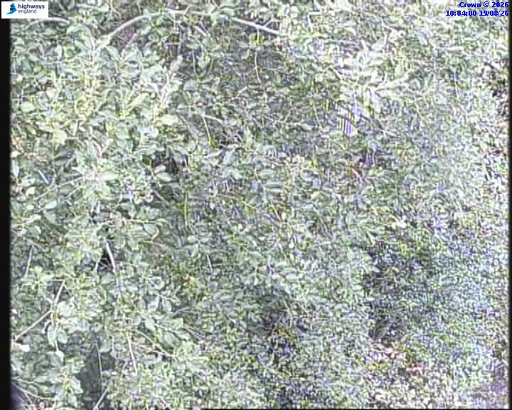 Click for full screen live camera. M25 55147 J19-J18