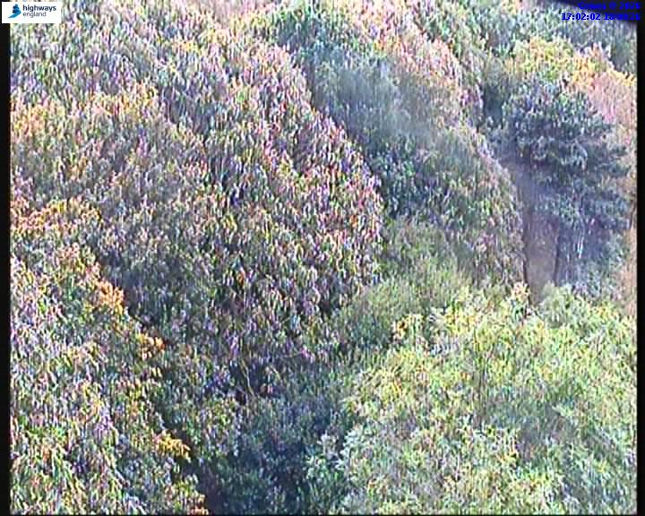 Click for full screen live camera. M11 56154 J5-J4