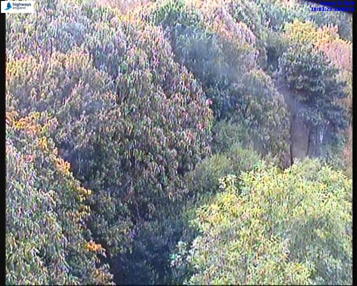 Click for full screen live camera. M11 56154 J5-J4