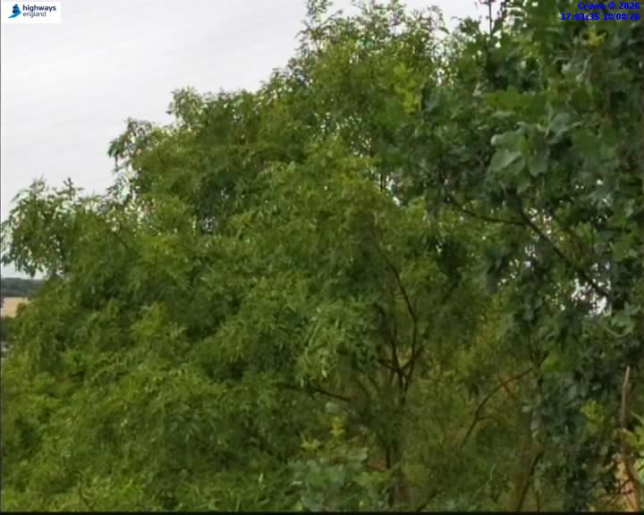 Click for full screen live camera. M11 56547 J9-J8