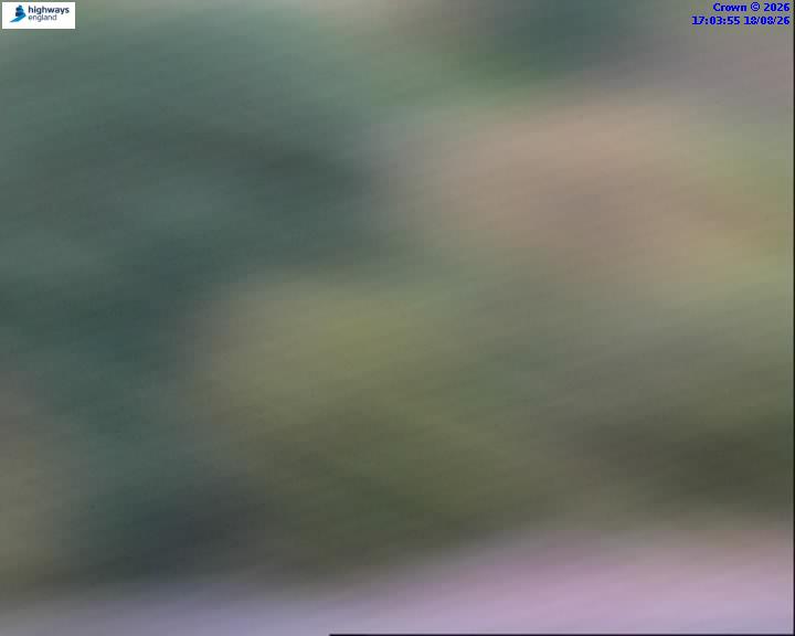 Click for full screen live camera. A1 57695 A141