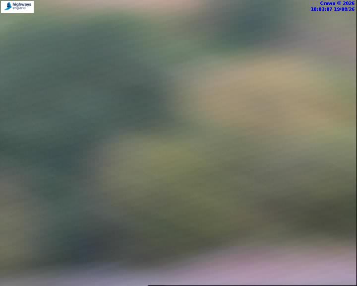 Click for full screen live camera. A1 57695 A141