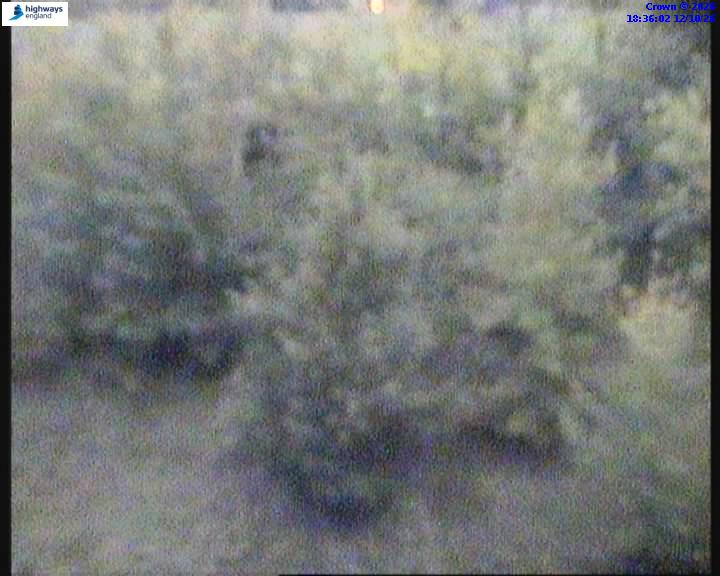 Click for full screen live camera. A42 62796 J13-J14