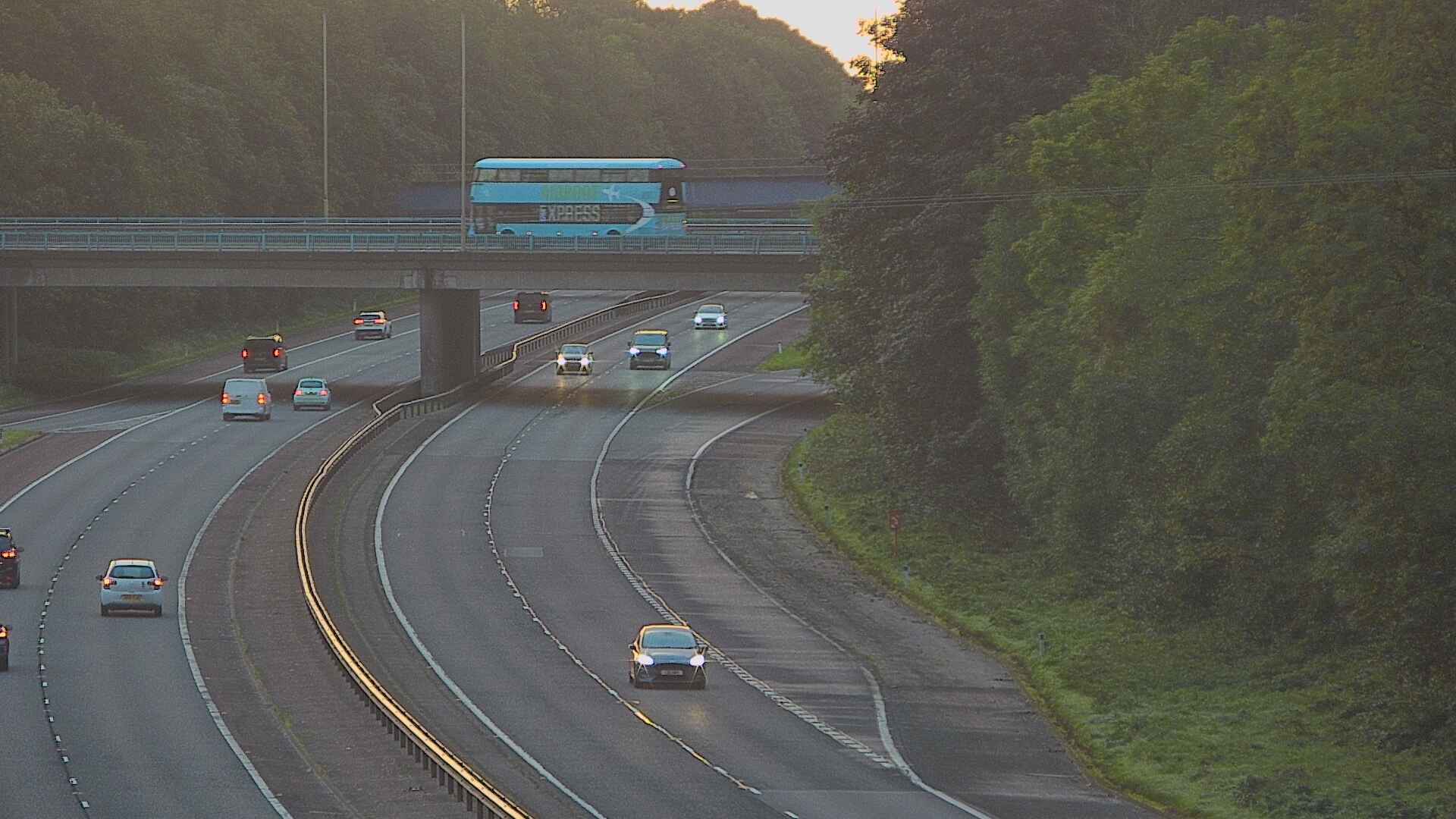 7:33 AM