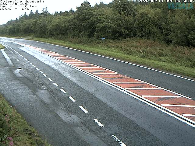 3239-1-1787123225.jpg
