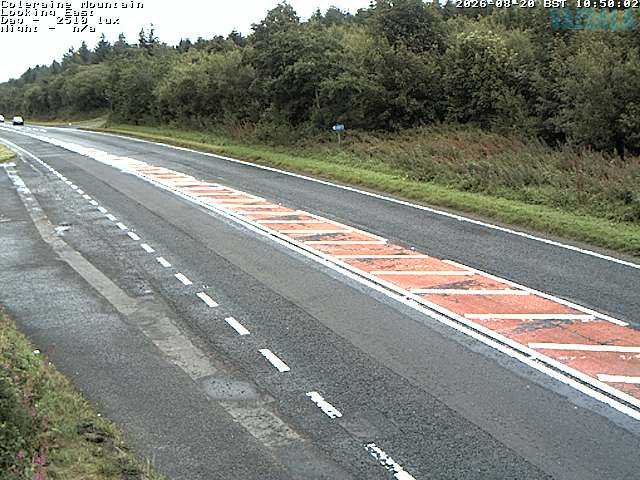 3239-1-1787224067.jpg