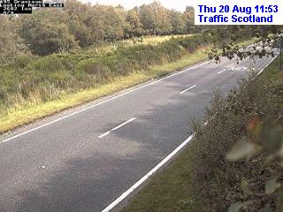 a96-delnies-east-1787227235.jpg