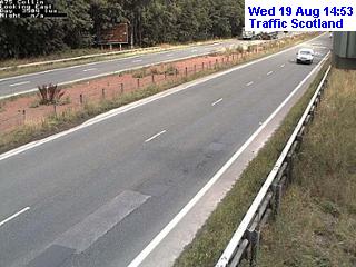 m74-daldowie-n-1787151620.jpg