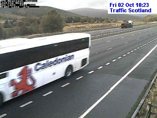 10:31 AM
