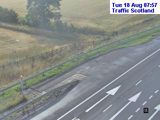 m9-cotlaws-1787040023.jpg