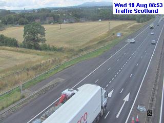 m9-cotlaws-1787130016.jpg