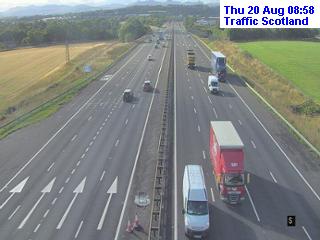 m9-cotlaws-1787216431.jpg