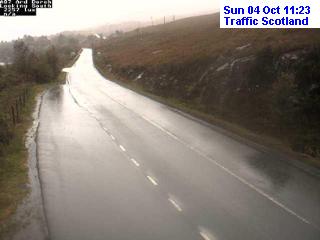 11:31 AM