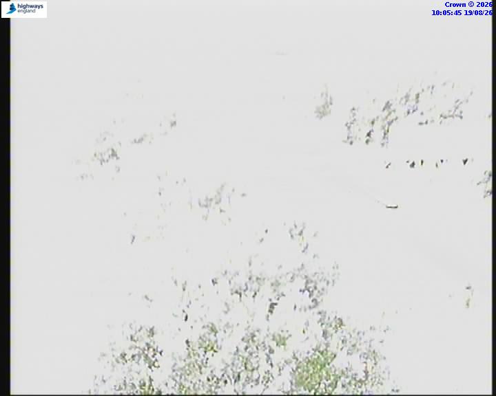 Click for full screen live camera. M42 06410 J6-J5